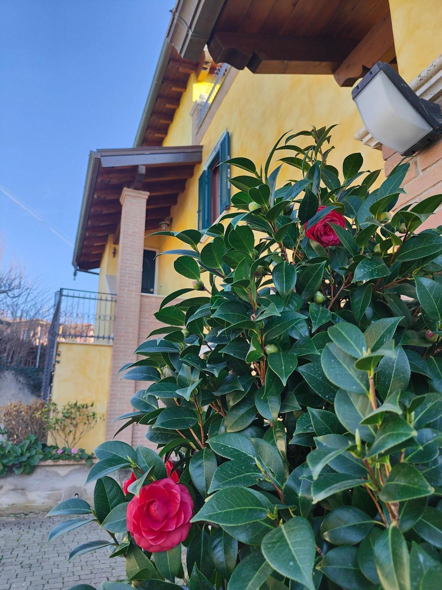 B&B Camera Delle Camelie Palestrina Exterior photo